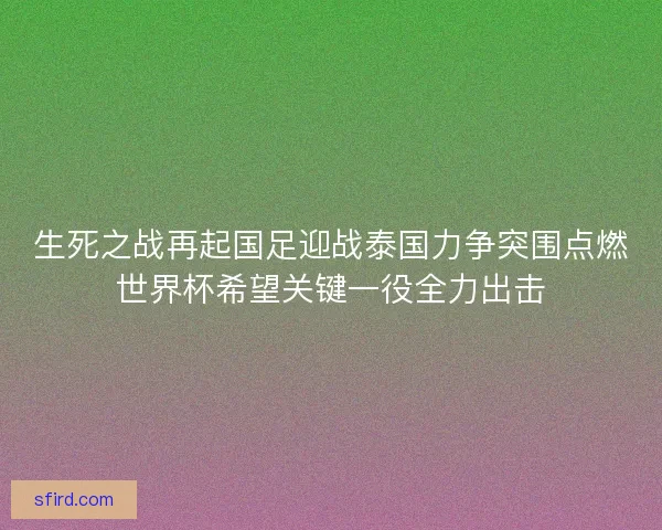 生死之战再起国足迎战泰国力争突围点燃世界杯希望关键一役全力出击